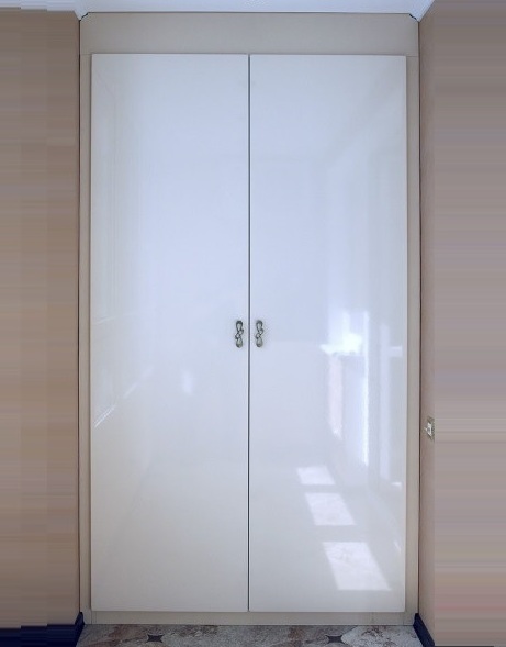 <span style="font-weight: bold;">Шкаф встроенный в нишу<br></span>